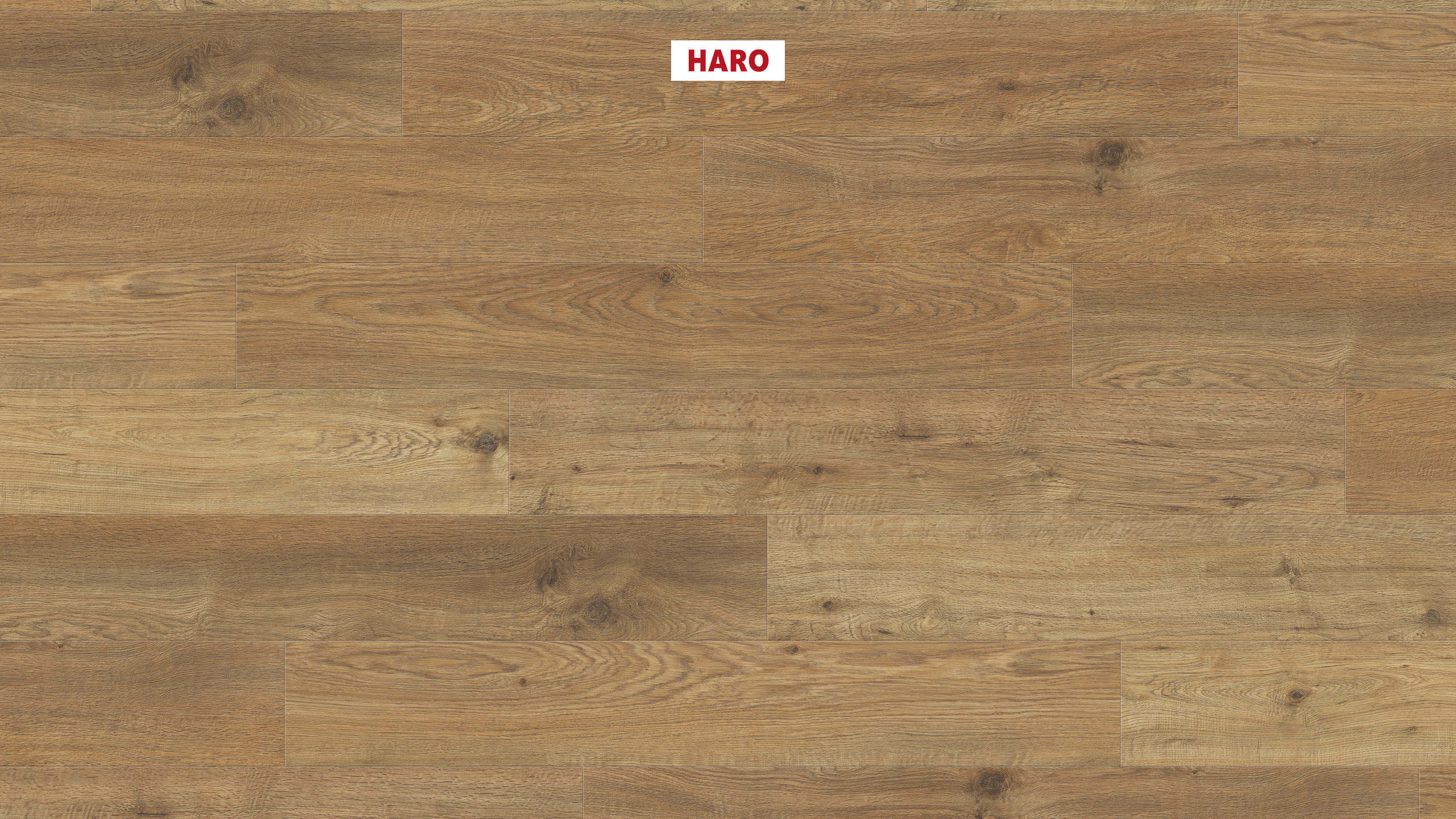 DISANO by HARO WaveAqua Plancia 4B Rovere Whistler natur* authentic Top Connect