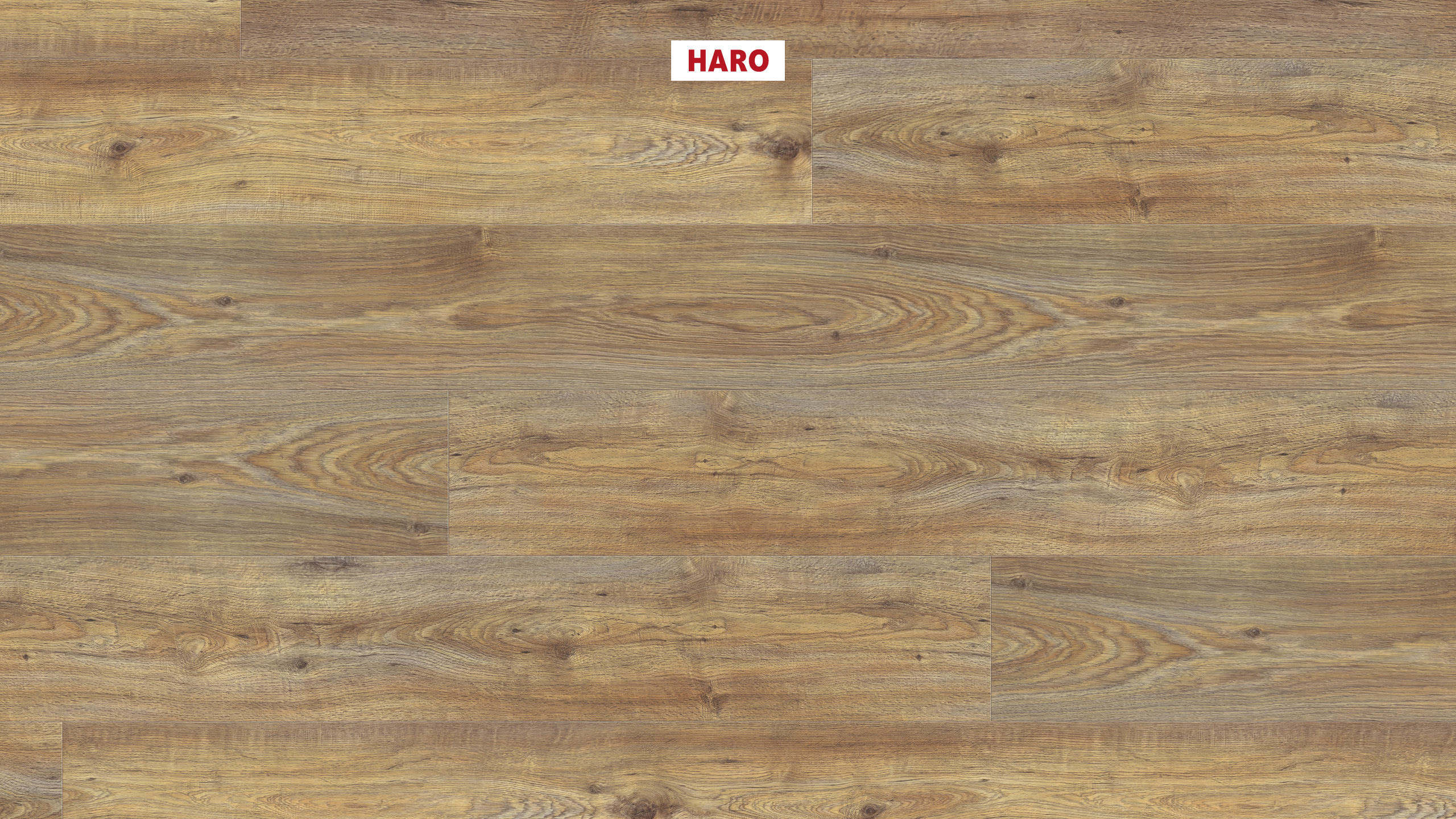 DISANO by HARO WaveAqua Plancia XL 4B Rovere Quebec caramel* authentic Top Connect