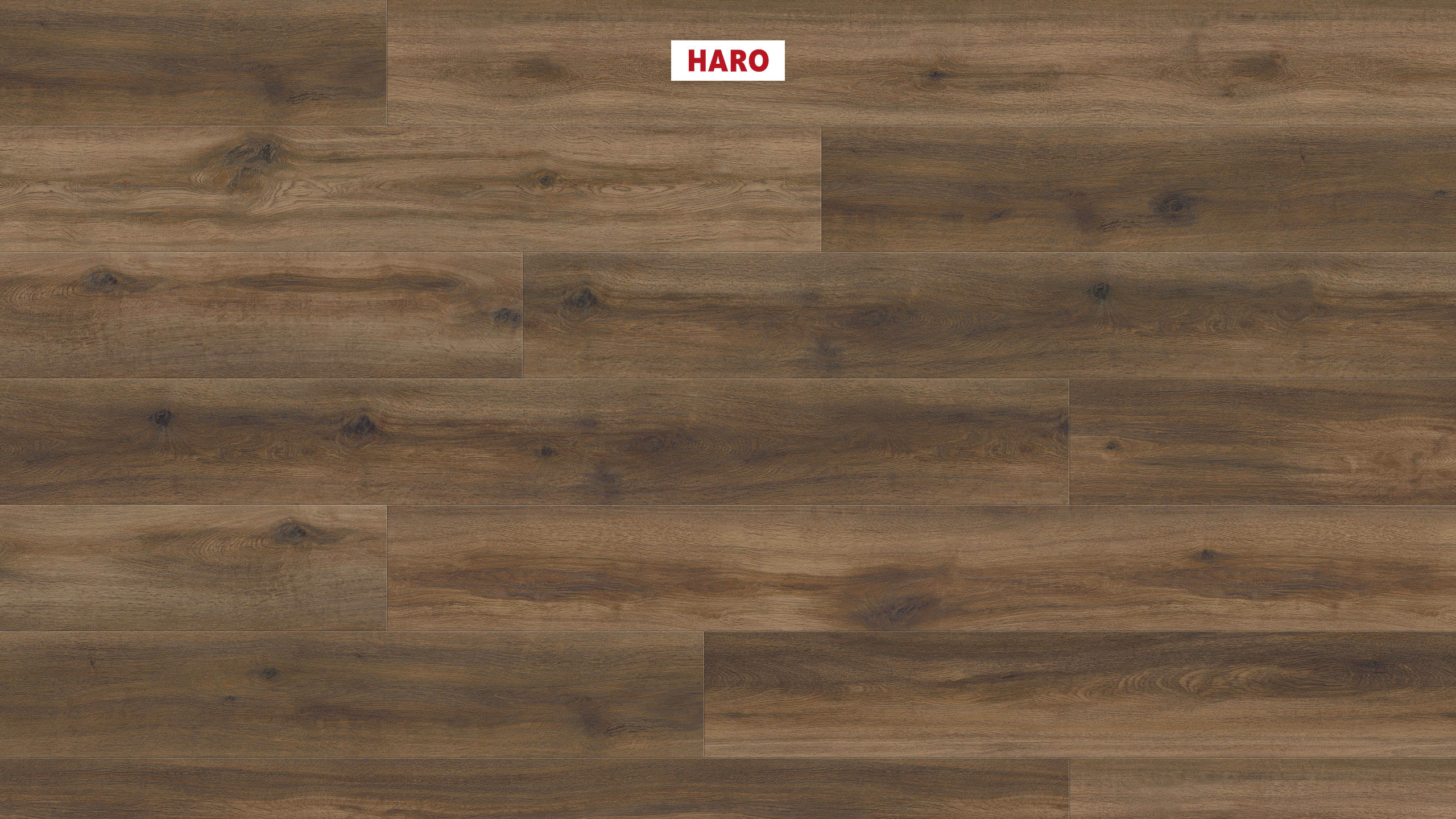 DISANO by HARO ClassicAqua Plancia XL 4B Rovere Provence marrone cioccolato* authentic Top Connect