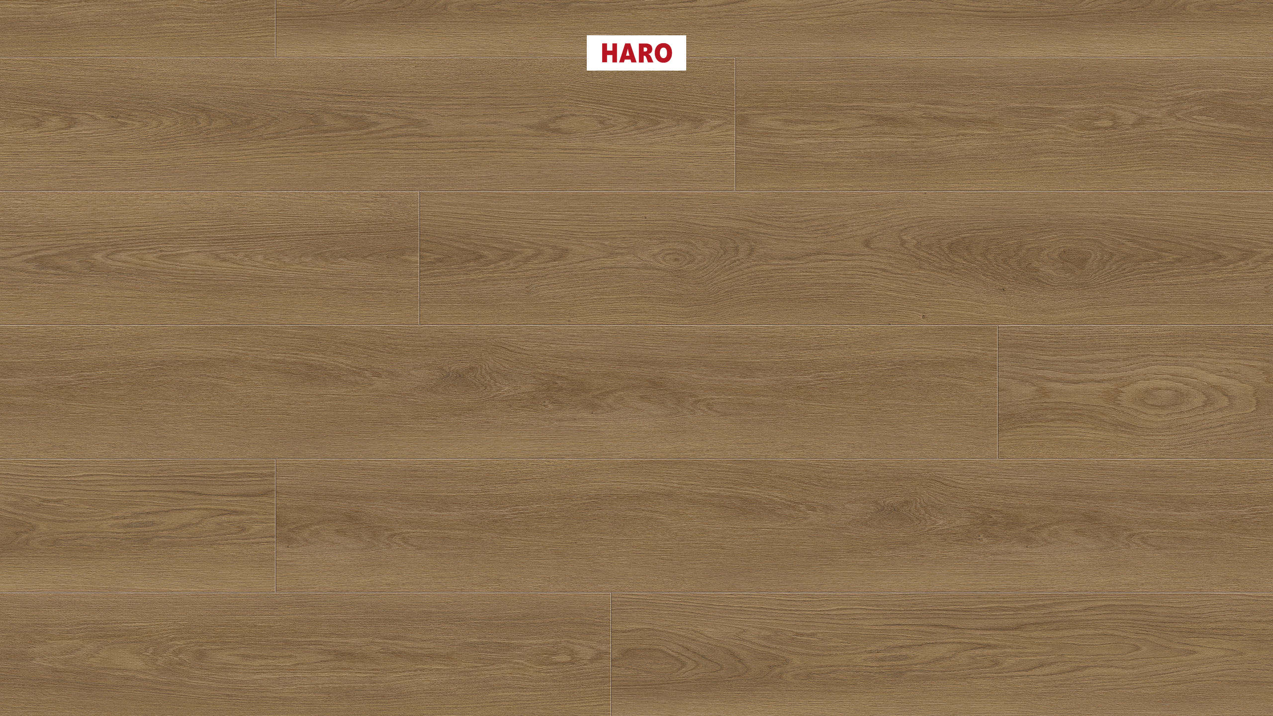 DISANO by HARO ClassicAqua Plancia XL 4B Rovere Picardie natur* authentic Top Connect