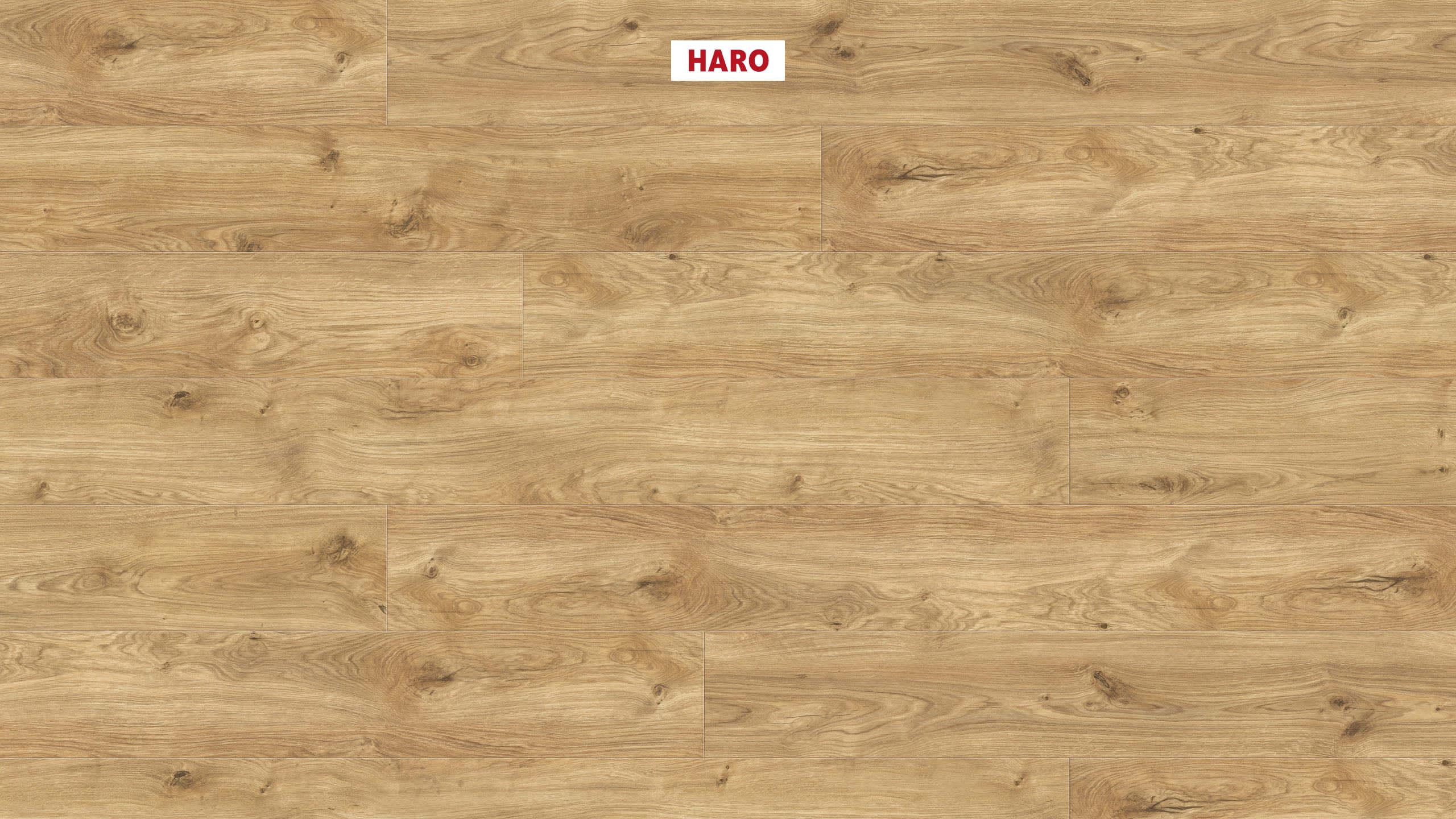 DISANO by HARO ClassicAqua Plancia XL 4B Rovere Phoenix* spazzolato Top Connect