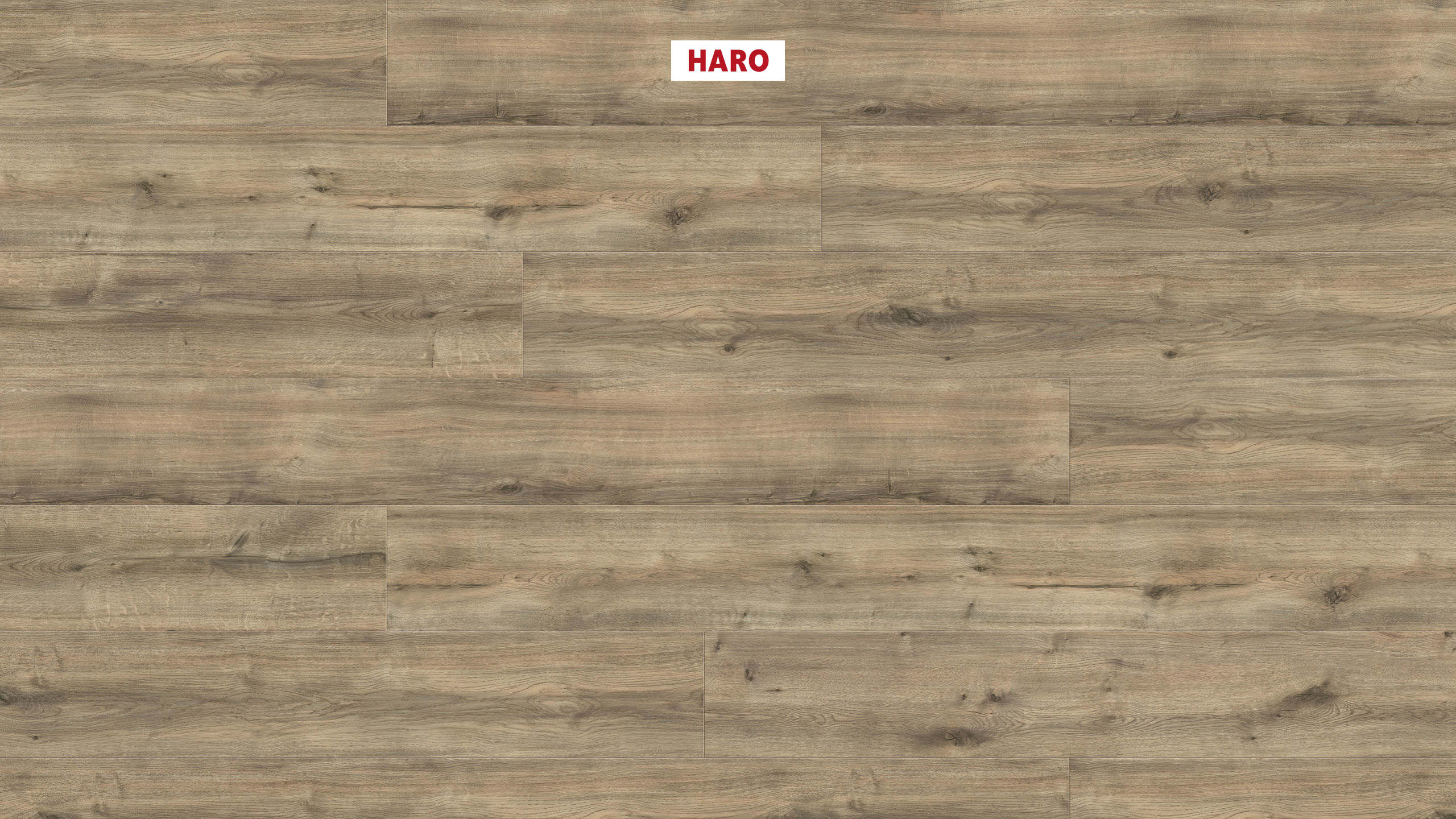DISANO by HARO ClassicAqua Plancia XL 4B Rovere Peak greige* spazzolato Top Connect