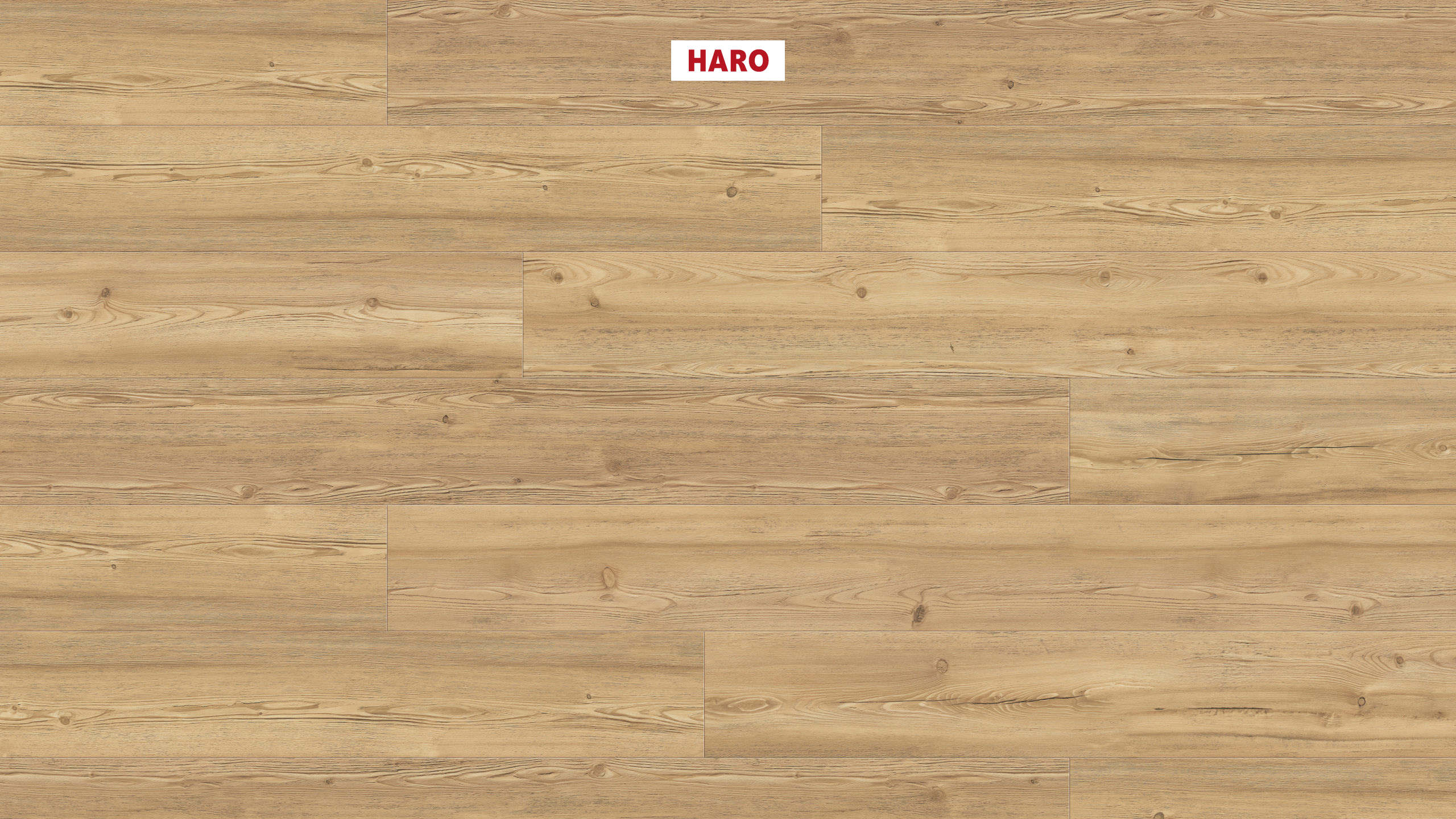 DISANO by HARO ClassicAqua Plancia XL 4B Larice di montagna marrone puro* spazzolato Top Connect