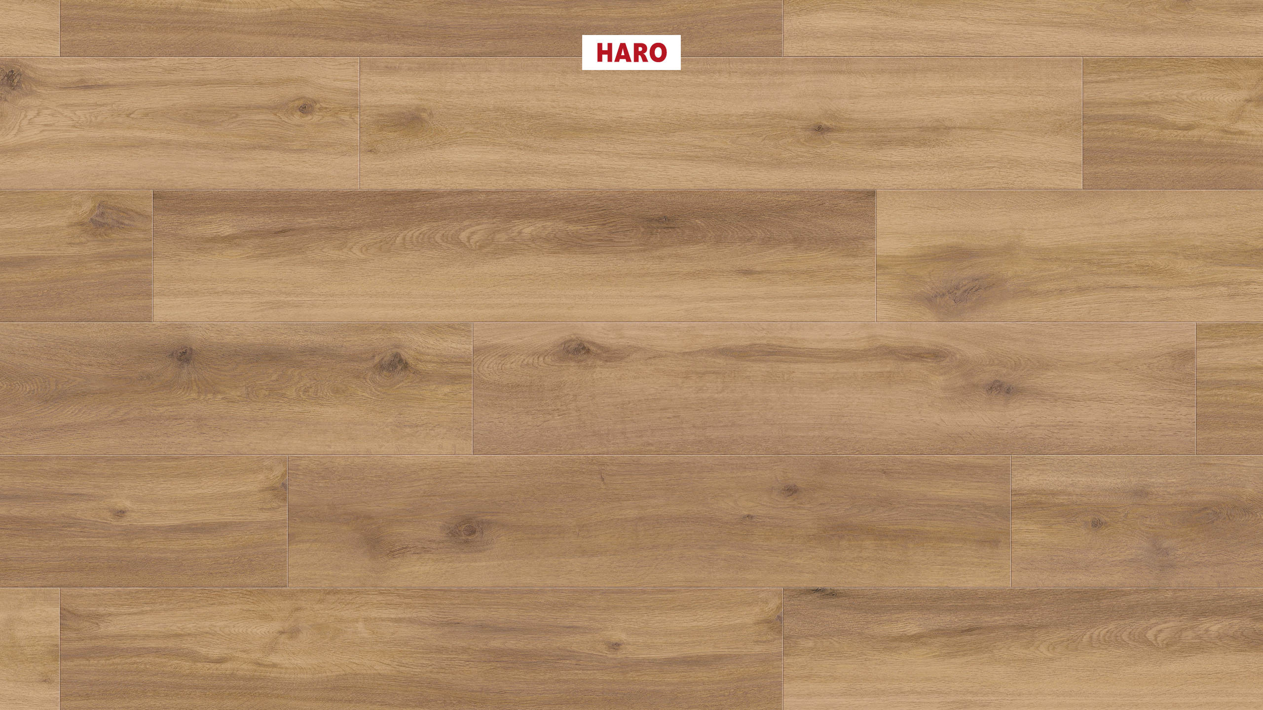 DISANO by HARO LifeAqua Plancia 4B Rovere Provence natur* authentic Top Connect