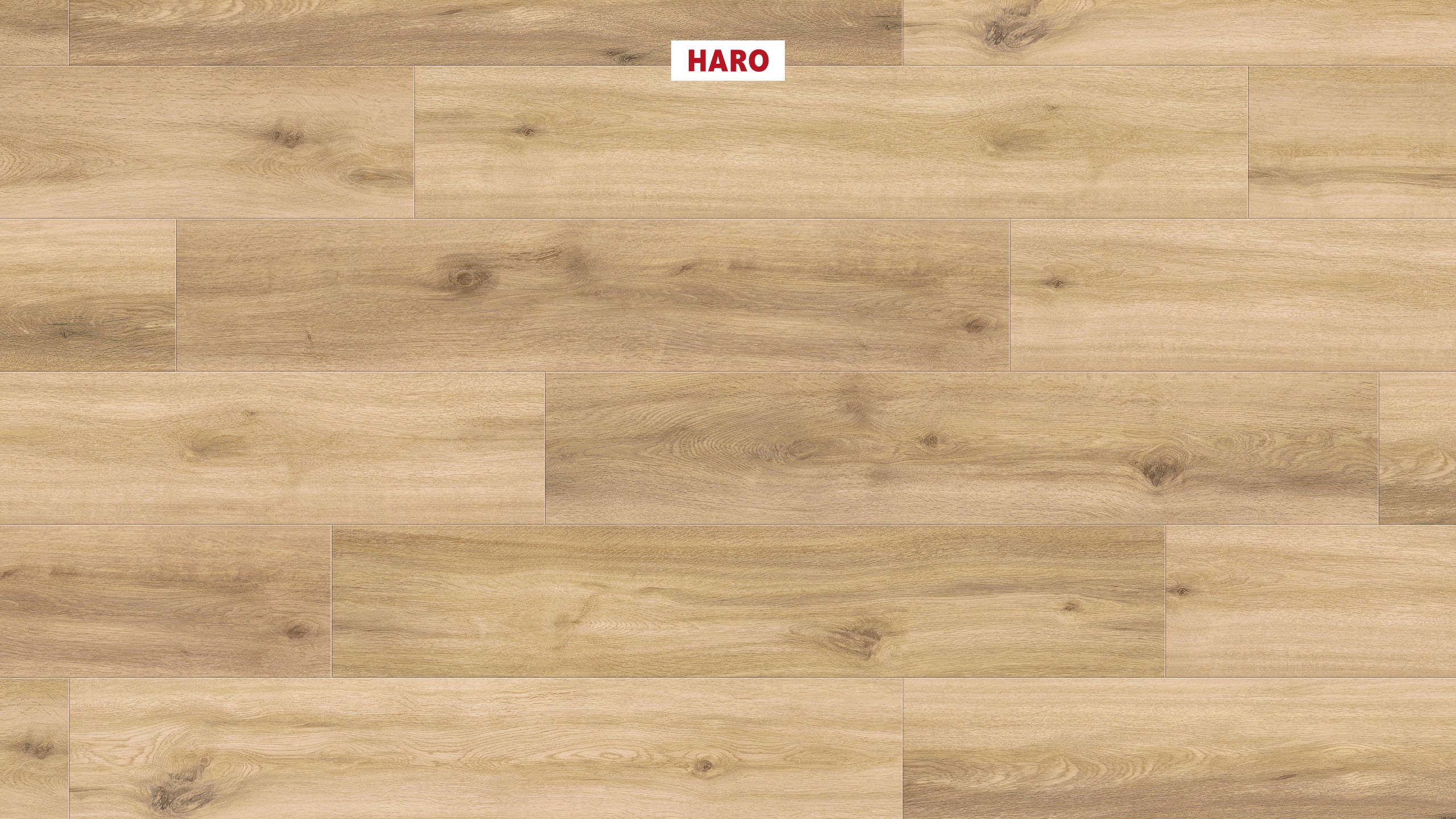 DISANO by HARO LifeAqua Plancia 4B Rovere Provence puro* authentic Top Connect