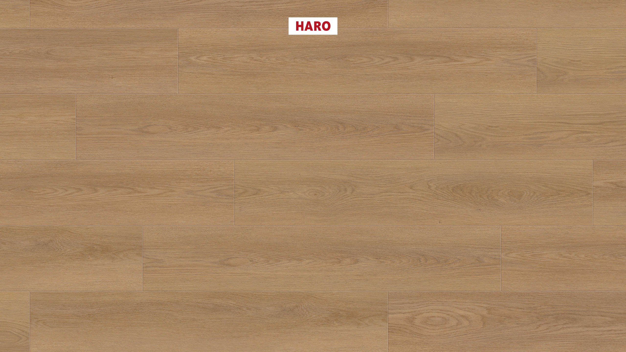 DISANO by HARO LifeAqua Plancia 4B Rovere Picardie natur* authentic Top Connect