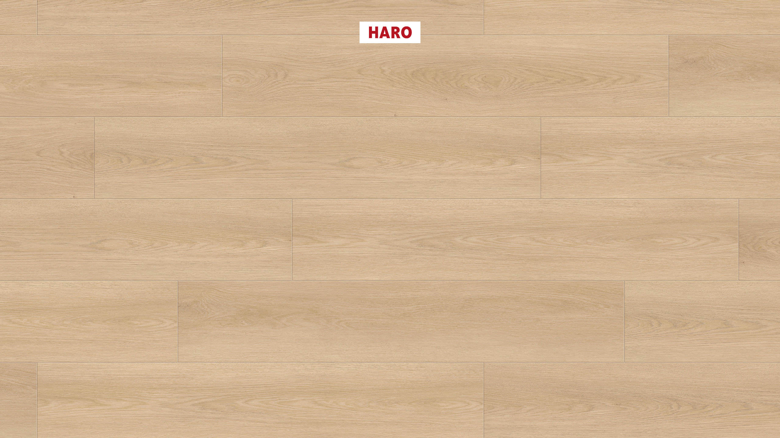 DISANO by HARO LifeAqua Plancia 4B Rovere Picardie puro* authentic Top Connect