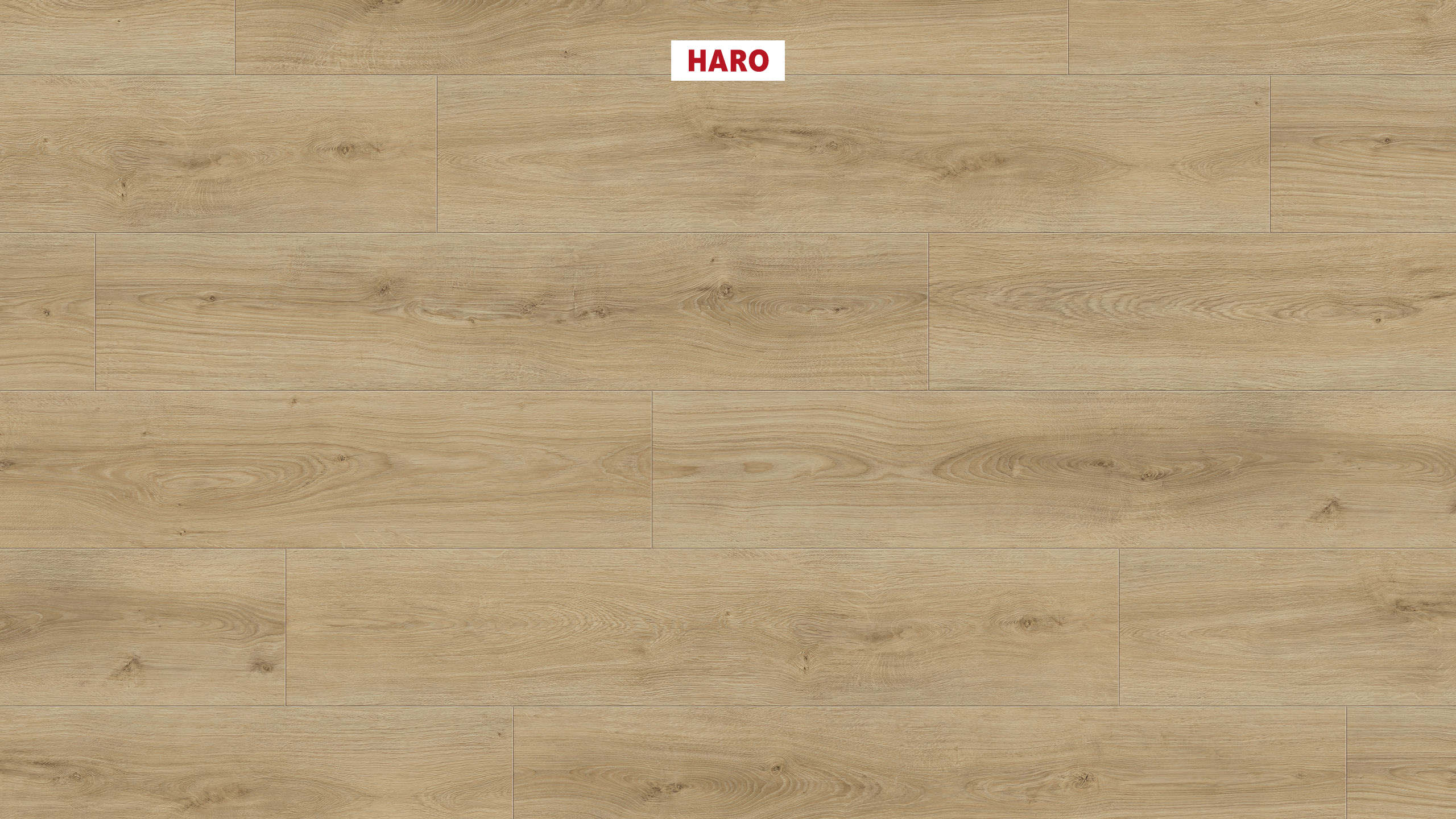 DISANO by HARO LifeAqua Plancia 4B Rovere Sheffield puro* authentic Top Connect