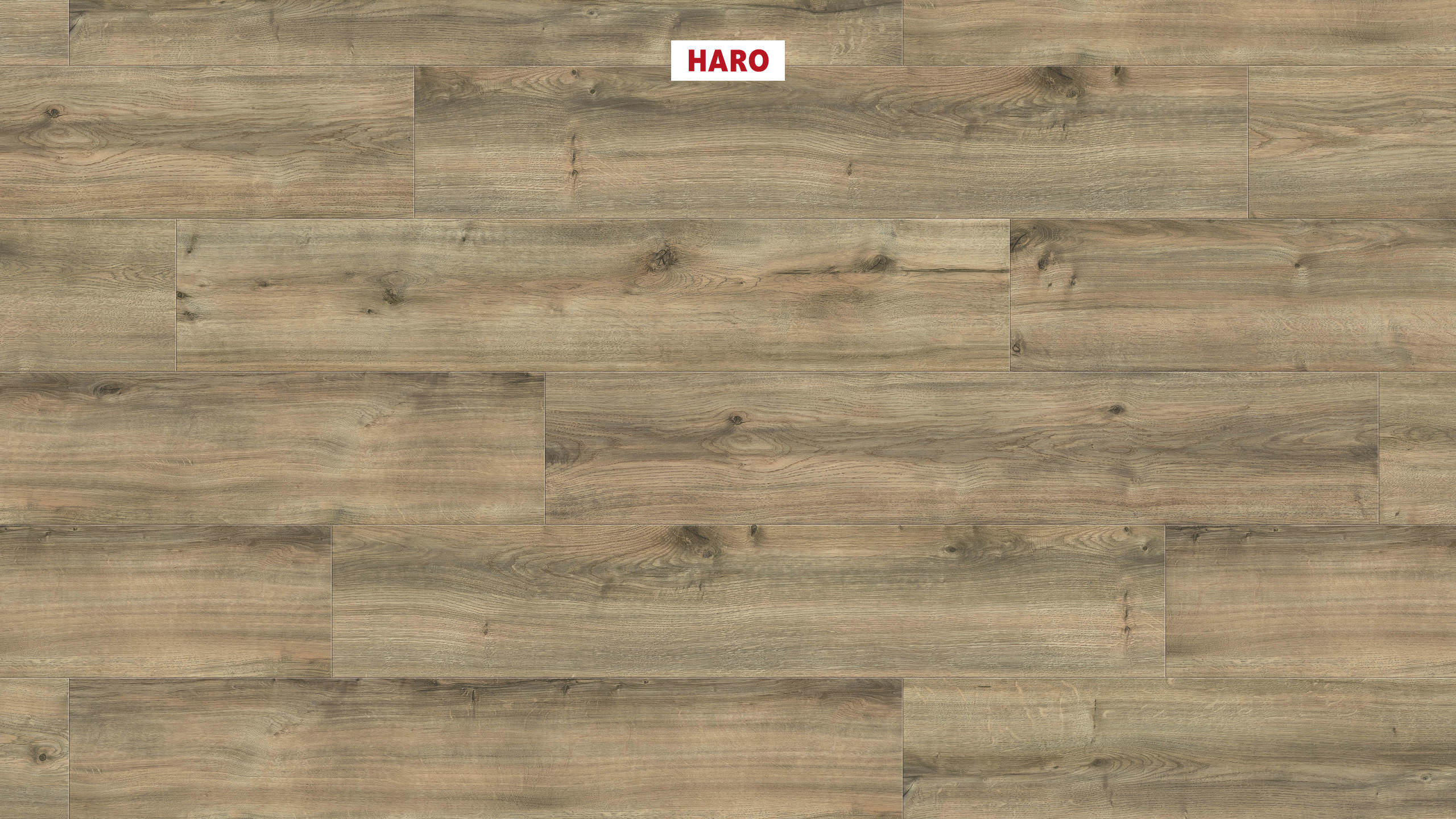 DISANO by HARO LifeAqua Plancia 4B Rovere Peak greige* spazzolato Top Connect