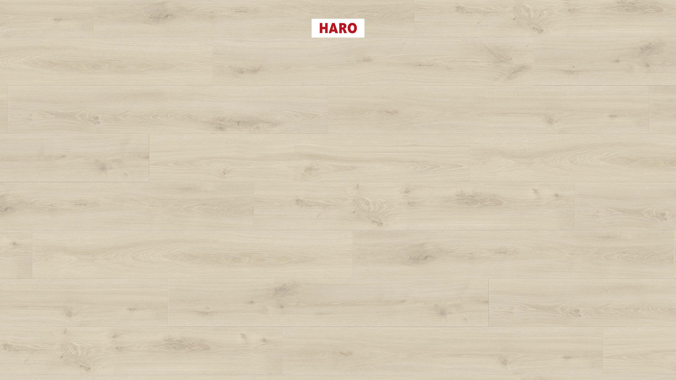 HARO Pavimento in laminato edizione speciale NKL32 Plancia 4B rovere Alta bianco crema* spazzolato Silent Pro Top Connect