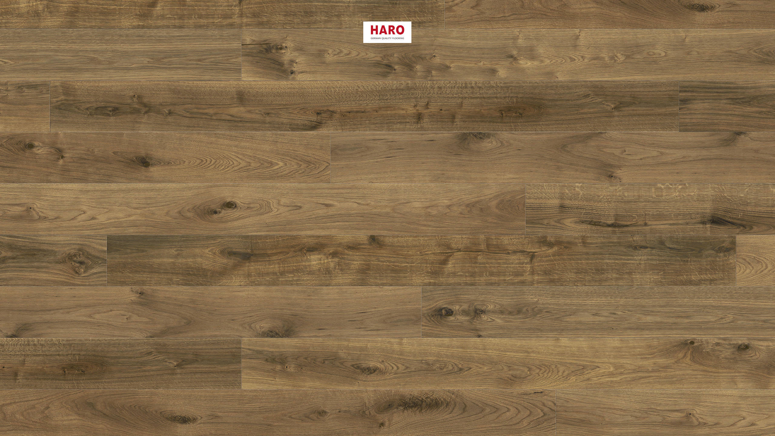 HARO PARQUET 4000 Plancia 180 4B Rovere Edizione anniversario #1 anticato spazzolato naturaLin plus Top Connect