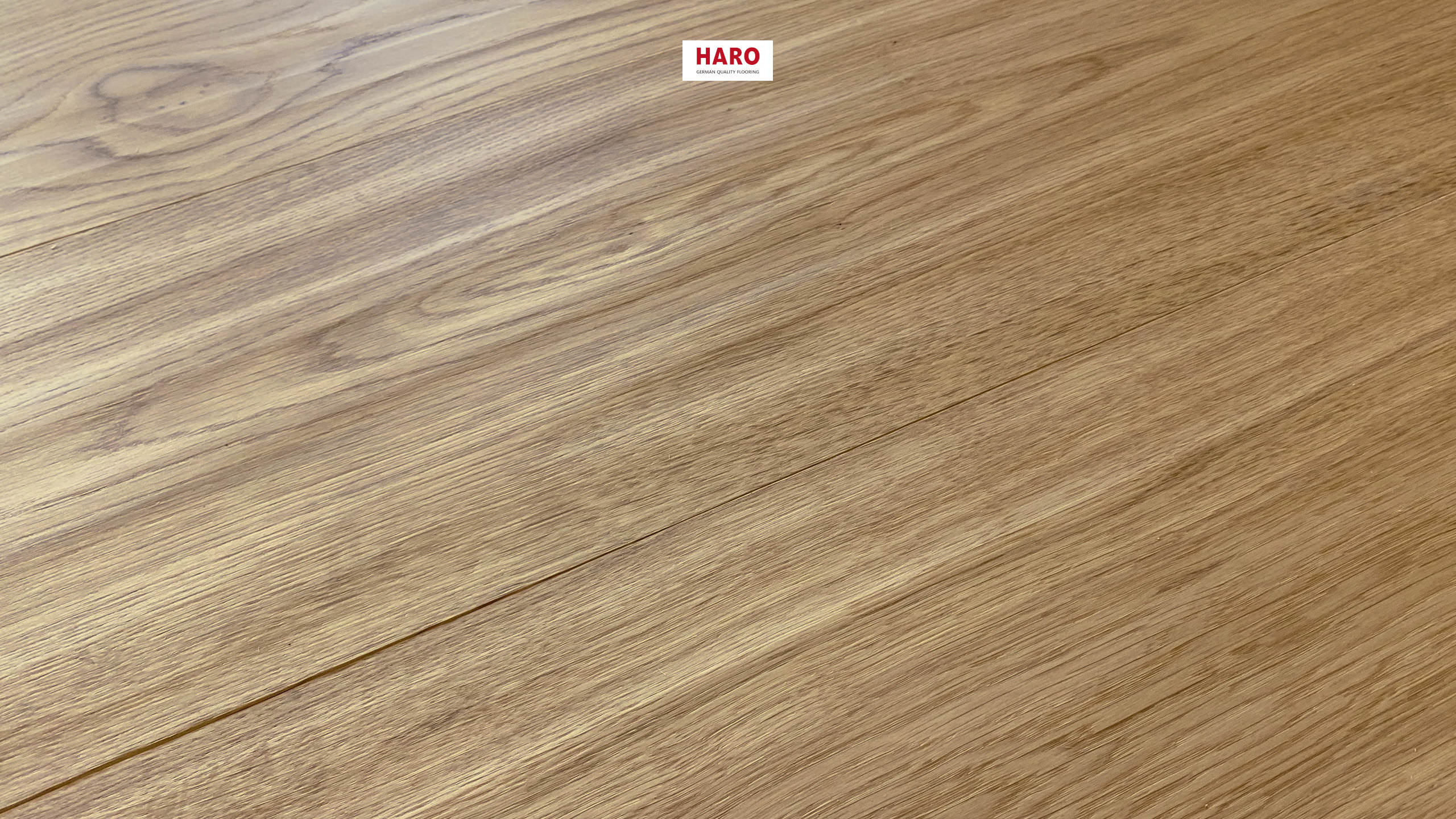 HARO PARQUET 4000 Plancia 180 4B Rovere Sauvage piallato naturaLin plus Top Connect
