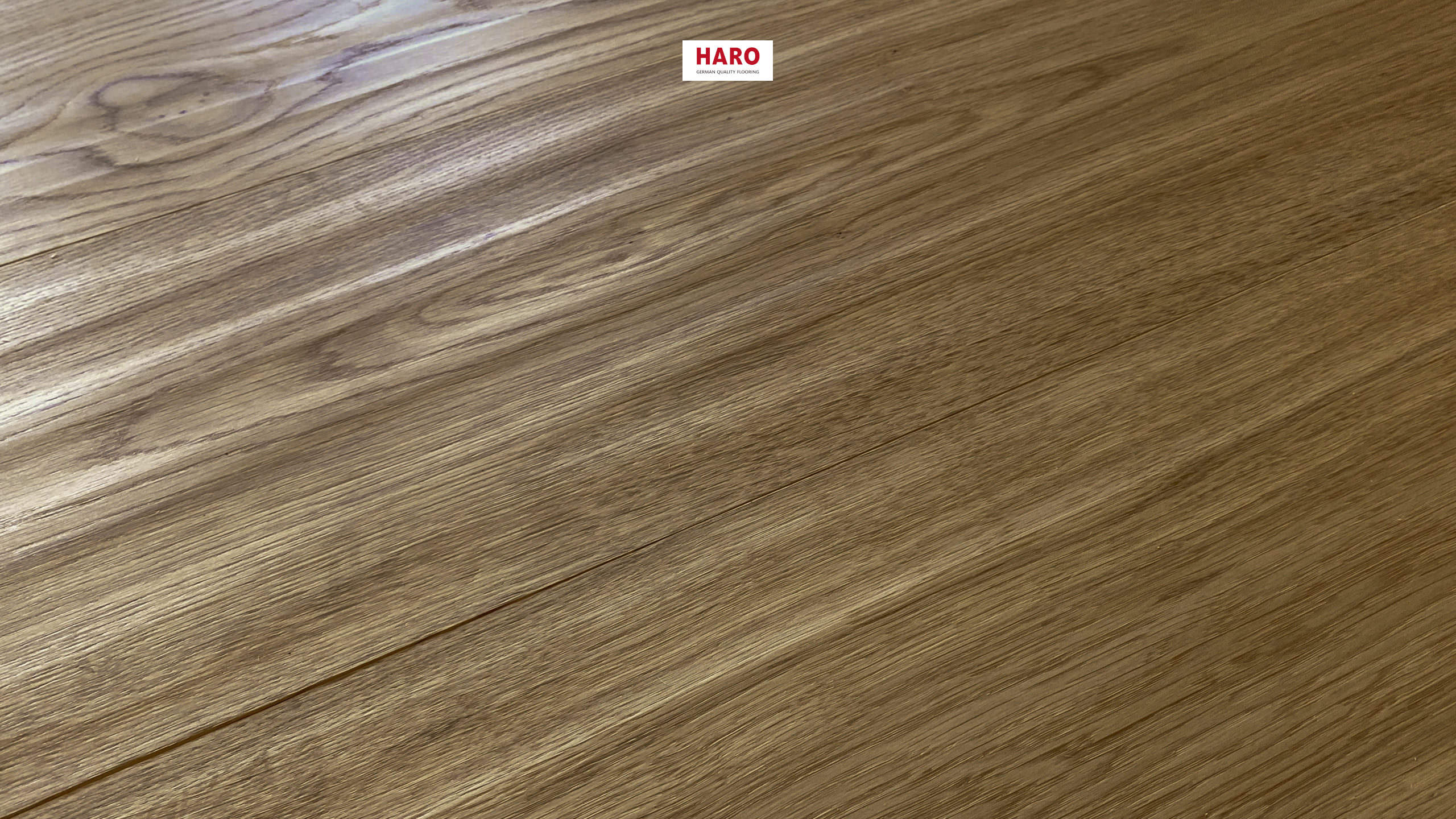 HARO PARQUET 4000 Plancia 180 4B Rovere affumicato Sauvage piallato naturaLin plus Top Connect