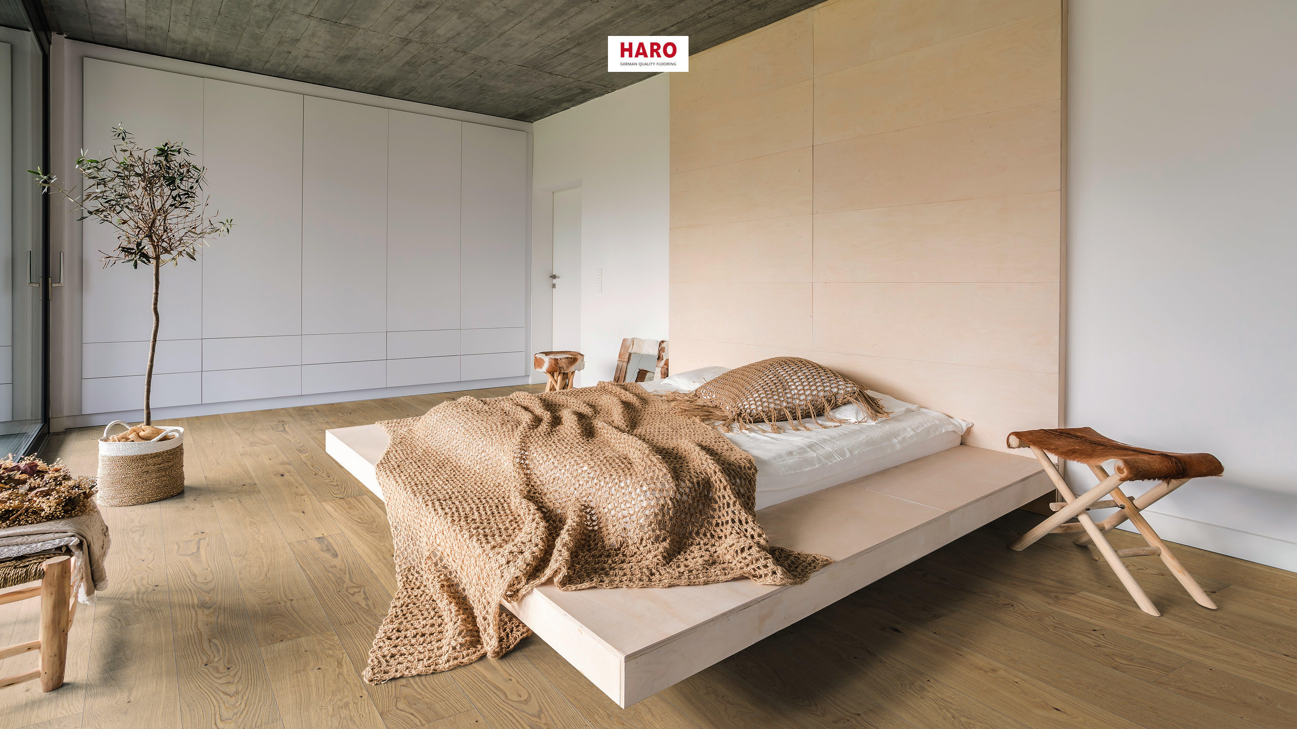 HARO PARQUET 4000 Plancia Plaza 240 4B Rovere invisible Markant piallato naturaLin plus Top Connect