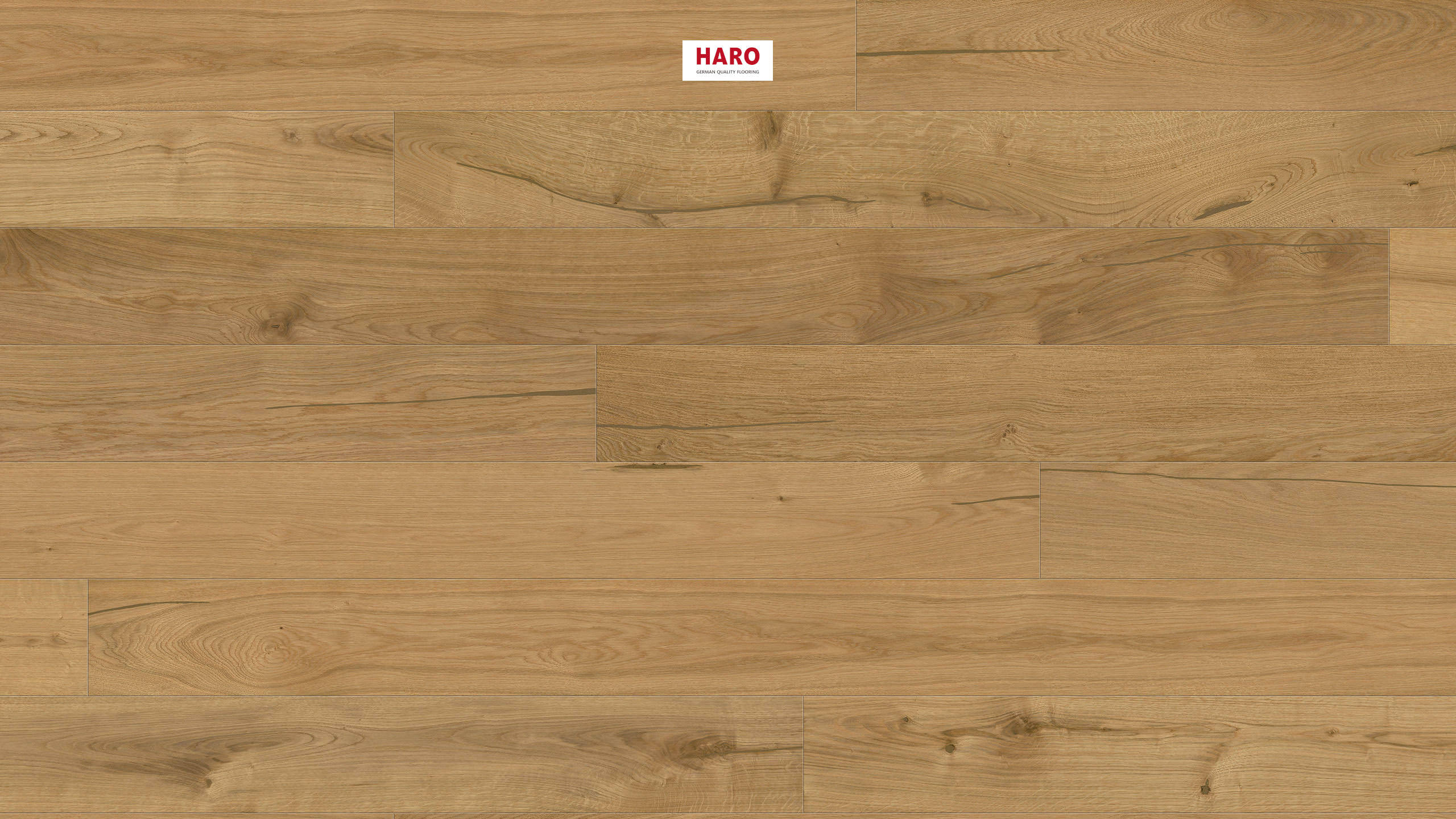 HARO PARQUET 4000 Plancia 180 4B Rovere Rustikal spazzolato verniciato opaco Top Connect