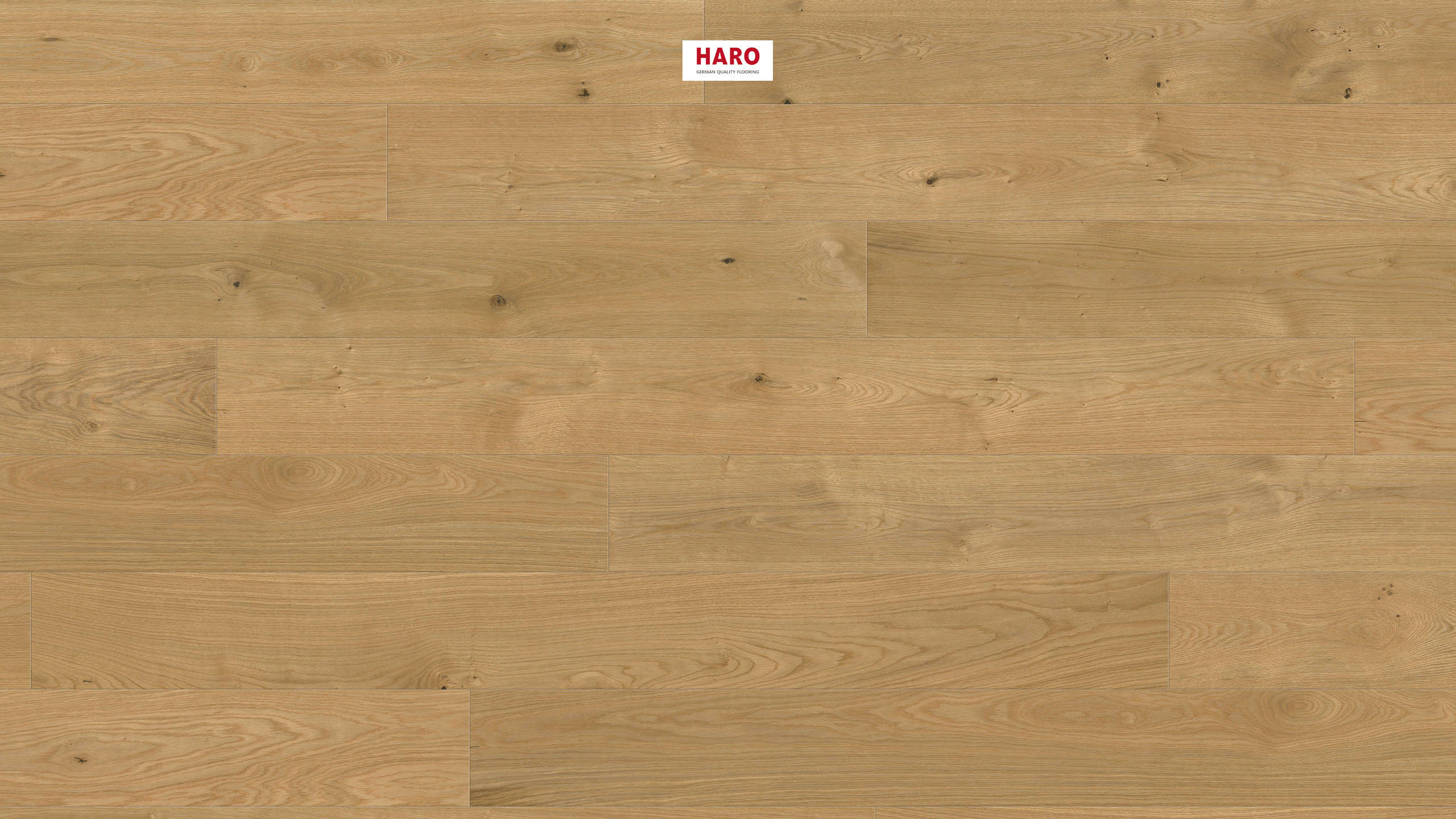 HARO PARQUET 4000 1750 mm Plancia 180 4B Rovere Elegant spazzolato verniciato opaco Top Connect