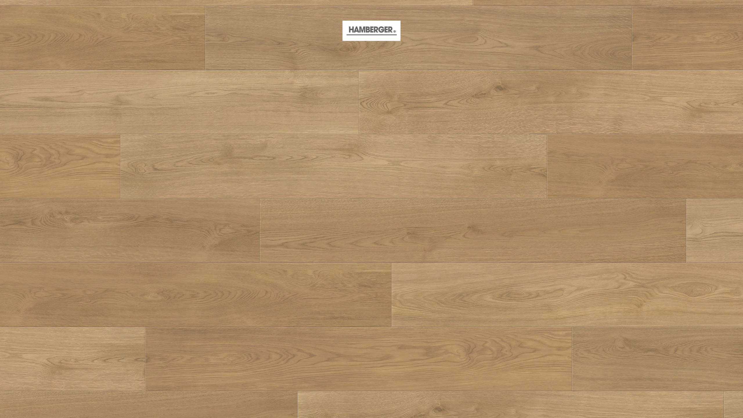 HARO Suelo de diseno Daily Edition SPC 1-lama 4V Roble Kalmar miel* cepillado